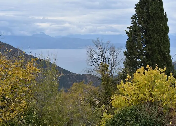 Selena - Stone With View And Fireplace